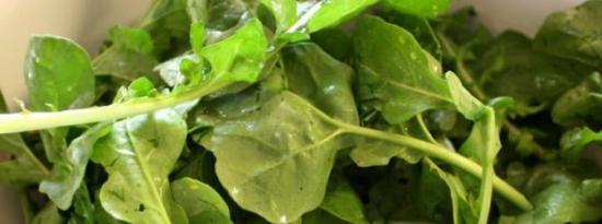 芝麻菜的健康益处就像十字花科蔬菜和绿叶蔬菜的混合体