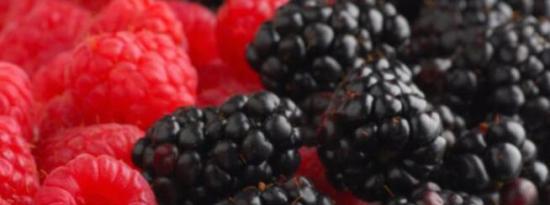 黑树莓可以降低患口腔癌的风险