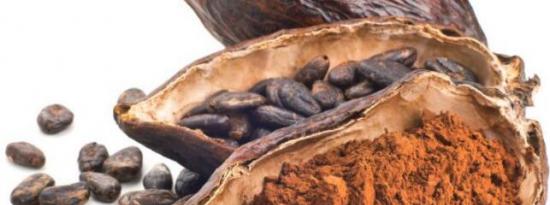 压力过大的可可树生产出更有营养的巧克力