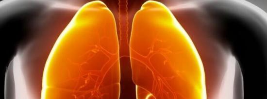 新研究发现维生素E可有效缓解哮喘的慢性症状