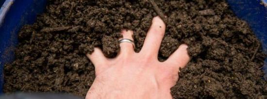 这种免耕园艺方法将帮助您喂养土壤