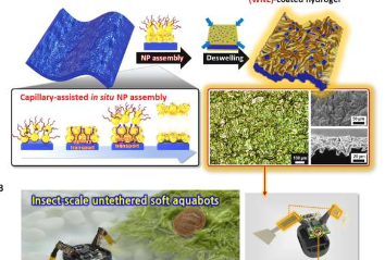 将纳米粒子结合到多孔水凝胶中以最小的电压推动水上机器人
