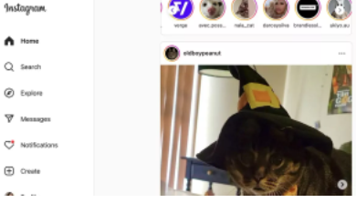 Instagram无视iPad用户推出其网络应用程序更新