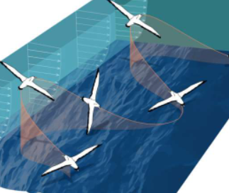 新研究揭示了关于漂泊信天翁标志性飞行的线索