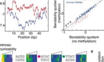 科学家解密DNA的机械密码