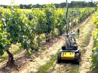 自主机器人帮助实现葡萄葡萄酒行业的现代化