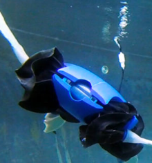 具有变形四肢的机器人可以在陆地和水中旅行