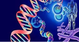 研究人员揭示了DNA镶嵌识别的新方法