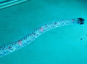 工程师设计了一个模块化系统来生产高效可扩展的水上机器人