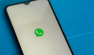  这是在WhatsApp上录制语音通话的方法