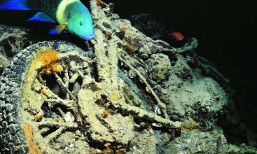 对SSThistlegorm沉船的长期研究表明人工珊瑚礁与天然珊瑚礁一样充满生机