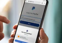 PayPal将其密码登录带到Android