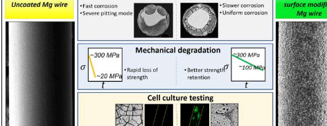 研究人员开发出可扩展且连续的镁合金线材表面改性工艺