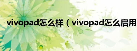 vivopad怎么样（vivopad怎么启用键盘）
