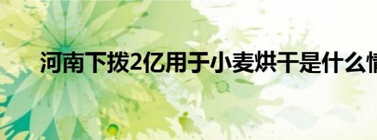 河南下拨2亿用于小麦烘干是什么情况