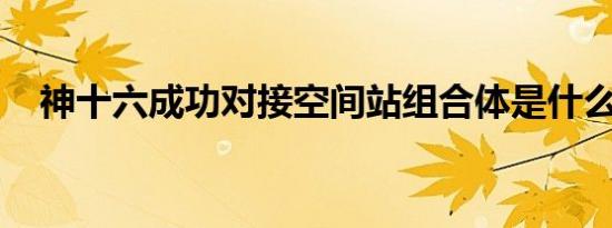 神十六成功对接空间站组合体是什么情况