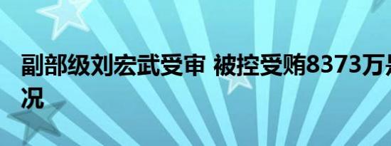 副部级刘宏武受审 被控受贿8373万是什么情况