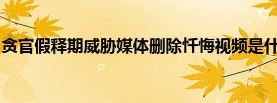 贪官假释期威胁媒体删除忏悔视频是什么情况
