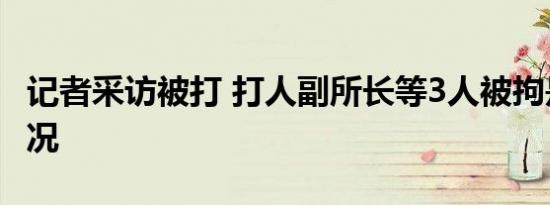 记者采访被打 打人副所长等3人被拘是什么情况