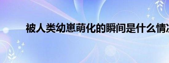 被人类幼崽萌化的瞬间是什么情况