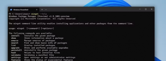 如何在 Windows 11 上使用 Windows 包管理器