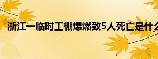 浙江一临时工棚爆燃致5人死亡是什么情况