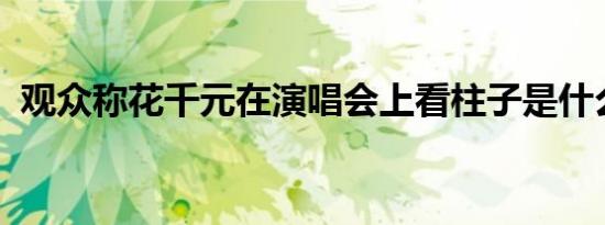 观众称花千元在演唱会上看柱子是什么情况