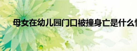 母女在幼儿园门口被撞身亡是什么情况