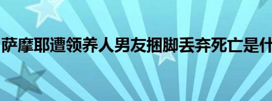 萨摩耶遭领养人男友捆脚丢弃死亡是什么情况