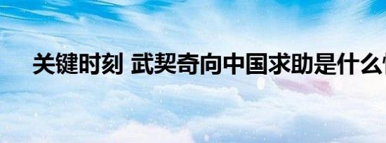 关键时刻 武契奇向中国求助是什么情况