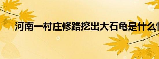 河南一村庄修路挖出大石龟是什么情况