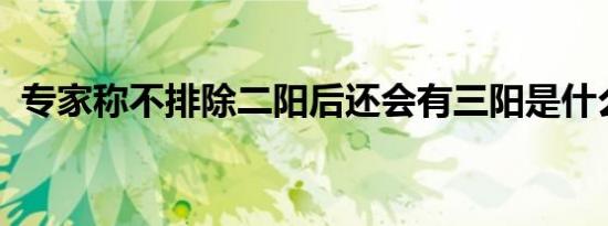 专家称不排除二阳后还会有三阳是什么情况