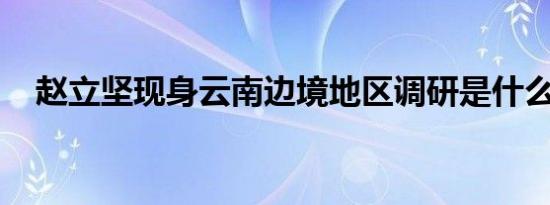 赵立坚现身云南边境地区调研是什么情况