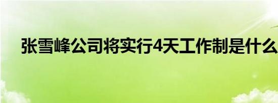 张雪峰公司将实行4天工作制是什么情况