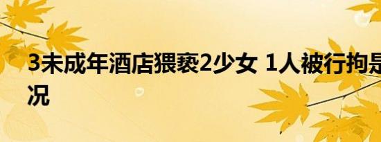 3未成年酒店猥亵2少女 1人被行拘是什么情况