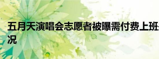 五月天演唱会志愿者被曝需付费上班是什么情况