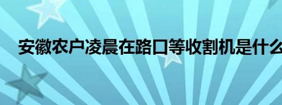 安徽农户凌晨在路口等收割机是什么情况