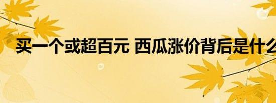 买一个或超百元 西瓜涨价背后是什么情况