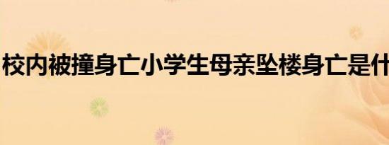 校内被撞身亡小学生母亲坠楼身亡是什么情况