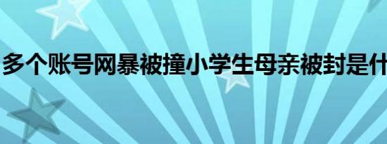 多个账号网暴被撞小学生母亲被封是什么情况