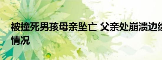 被撞死男孩母亲坠亡 父亲处崩溃边缘是什么情况