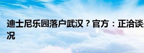 迪士尼乐园落户武汉？官方：正洽谈是什么情况