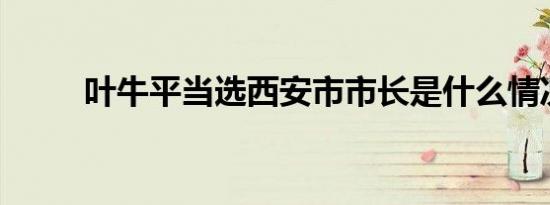 叶牛平当选西安市市长是什么情况