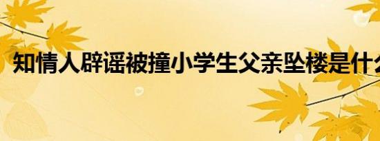 知情人辟谣被撞小学生父亲坠楼是什么情况