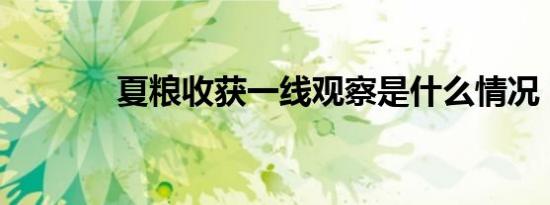 夏粮收获一线观察是什么情况