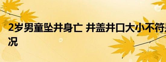 2岁男童坠井身亡 井盖井口大小不符是什么情况