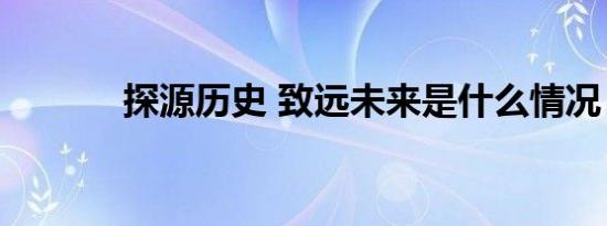 探源历史 致远未来是什么情况