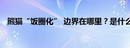 熊猫“饭圈化” 边界在哪里？是什么情况