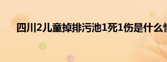 四川2儿童掉排污池1死1伤是什么情况