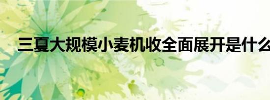 三夏大规模小麦机收全面展开是什么情况